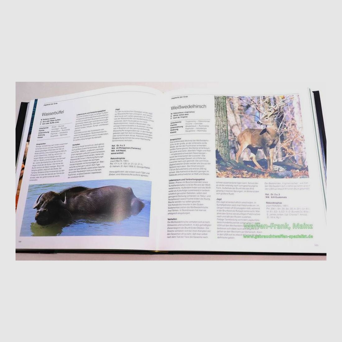 Fink-Kümmerly+Frey Jagd international