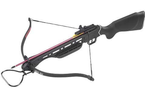 Man Kung Recurve Armbrust Evident 150 lbs
