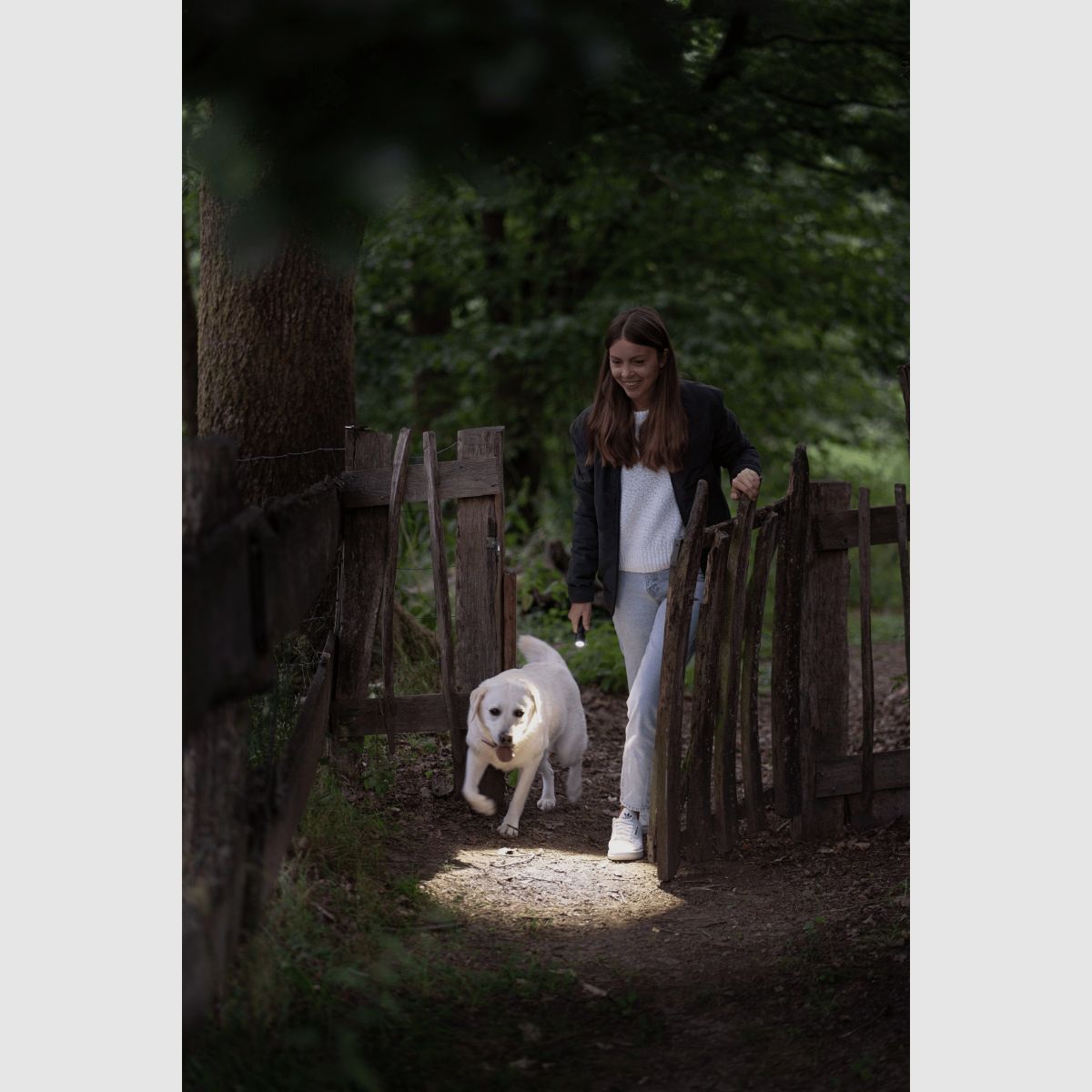 Lampe de poche LEDLENSER P5R Core