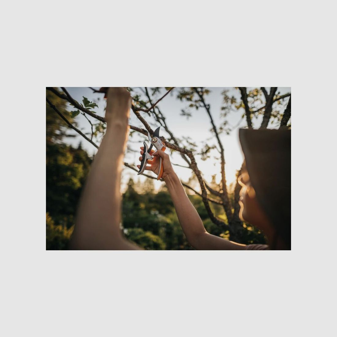 Fiskars Gartenschere Plus Metall Bypass P751