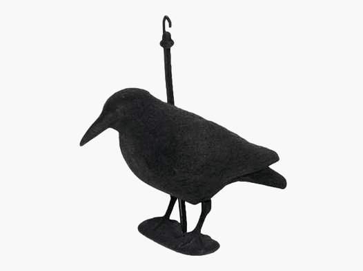 Corbeau feutré
