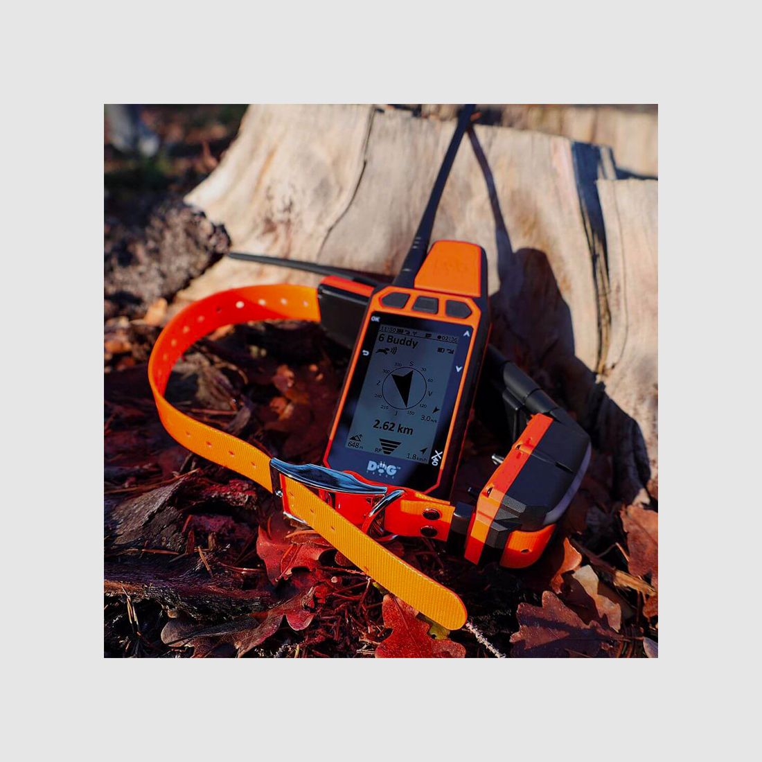 DOG TRACE – GPS X40 | ADDITIONAL COLLAR, image 9 of 12