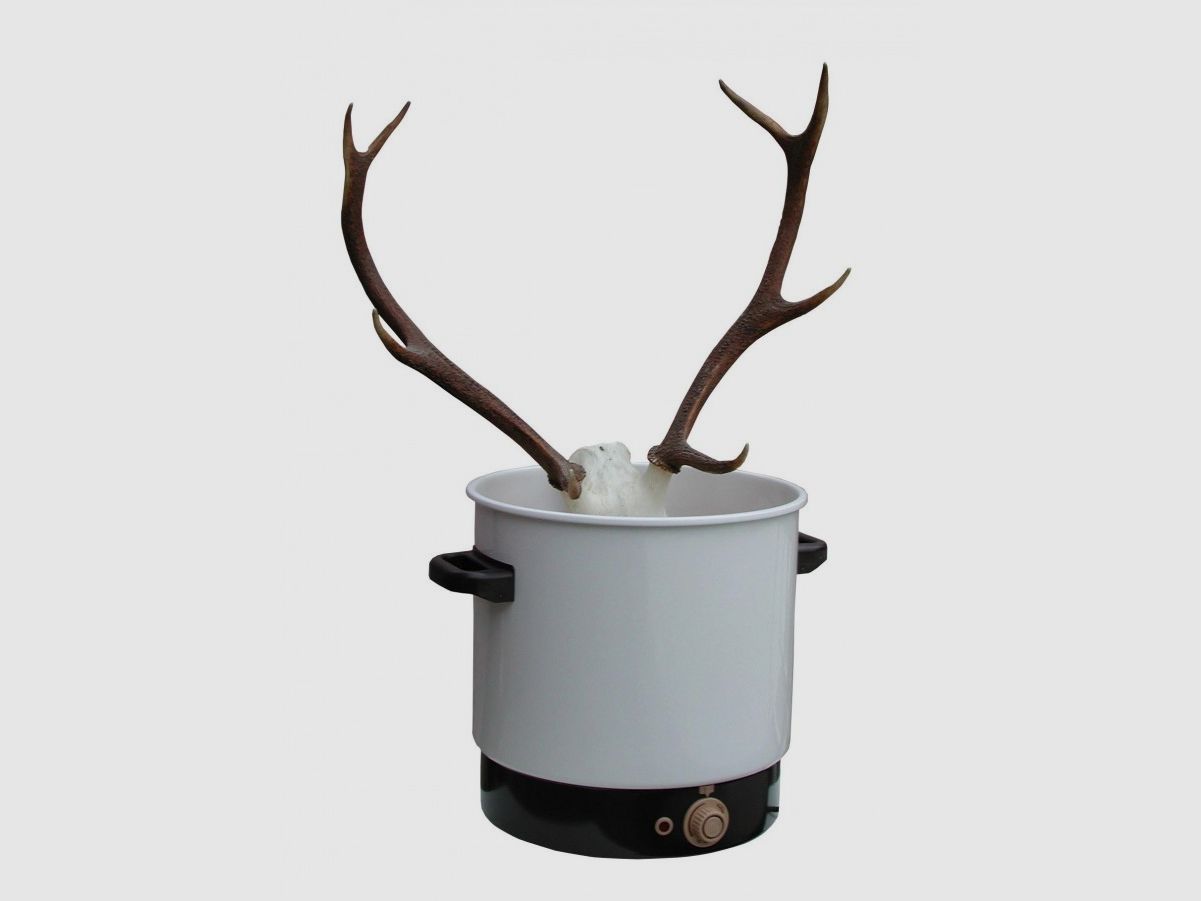 Kookapparaat hert/sika