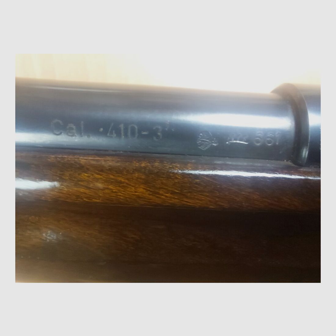 Anschütz, Ulm shotgun