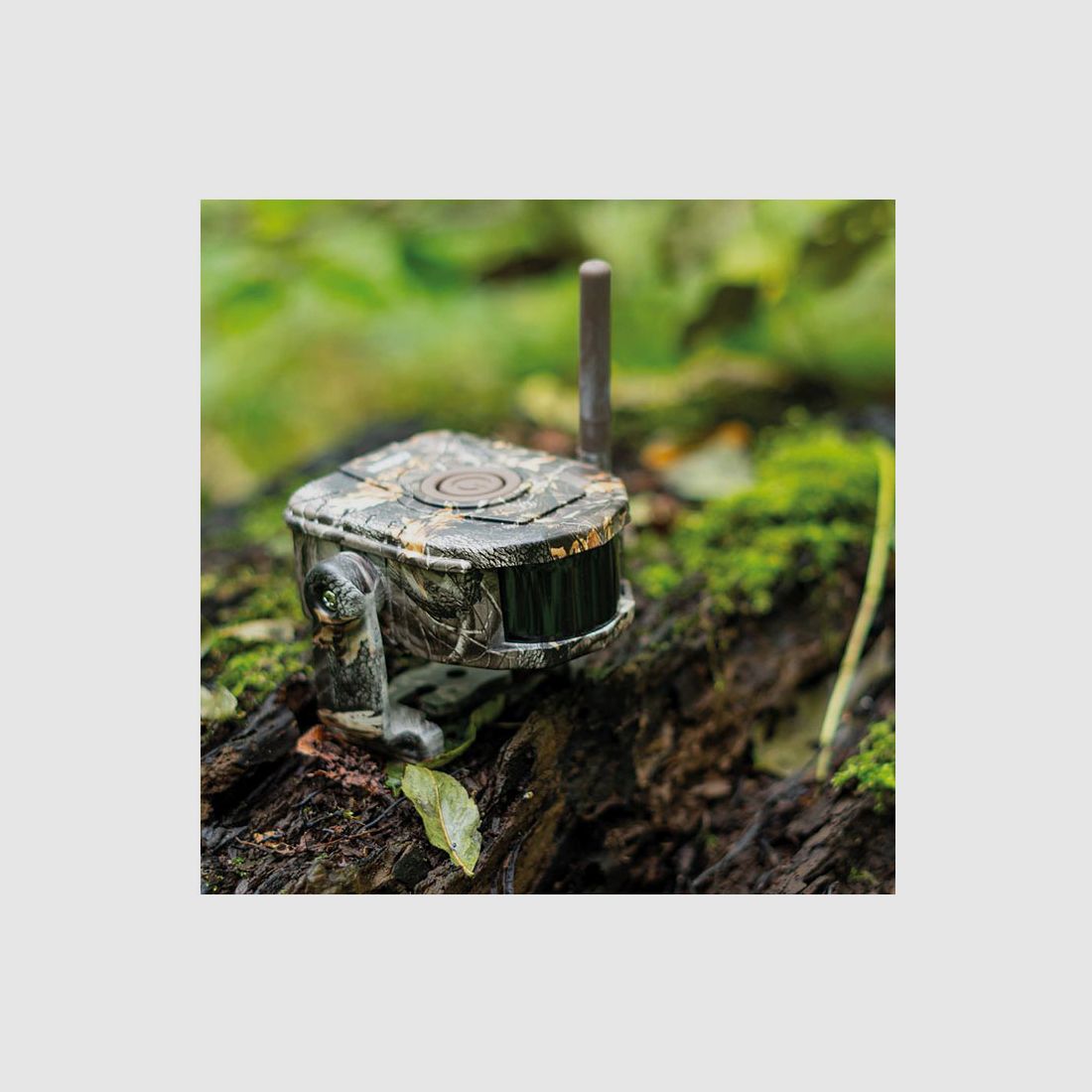 Dörr Funk-Bewegungsmelder HA-300S