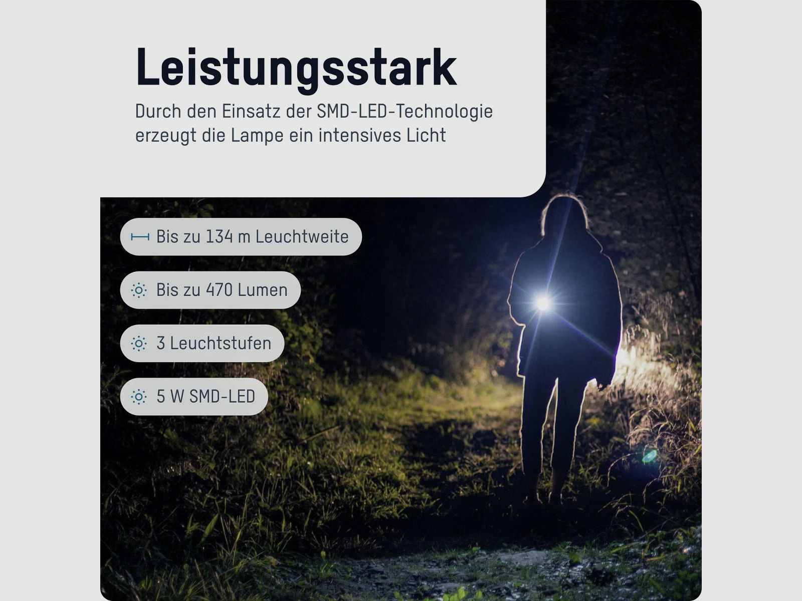 Ansmann Taschenlampe TA500BF