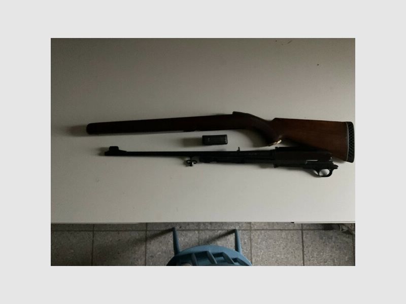Winchester 100