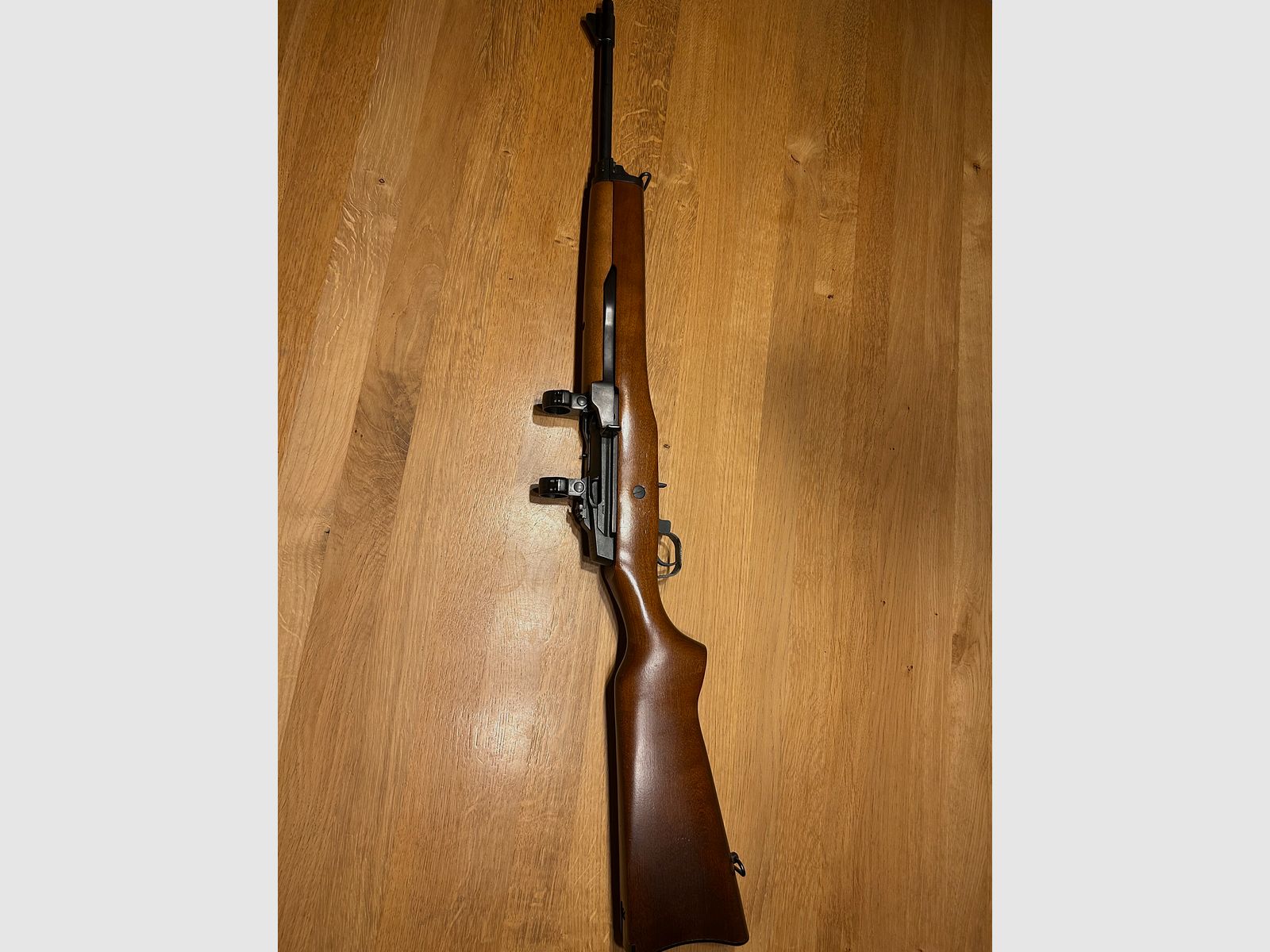Ruger mini 14