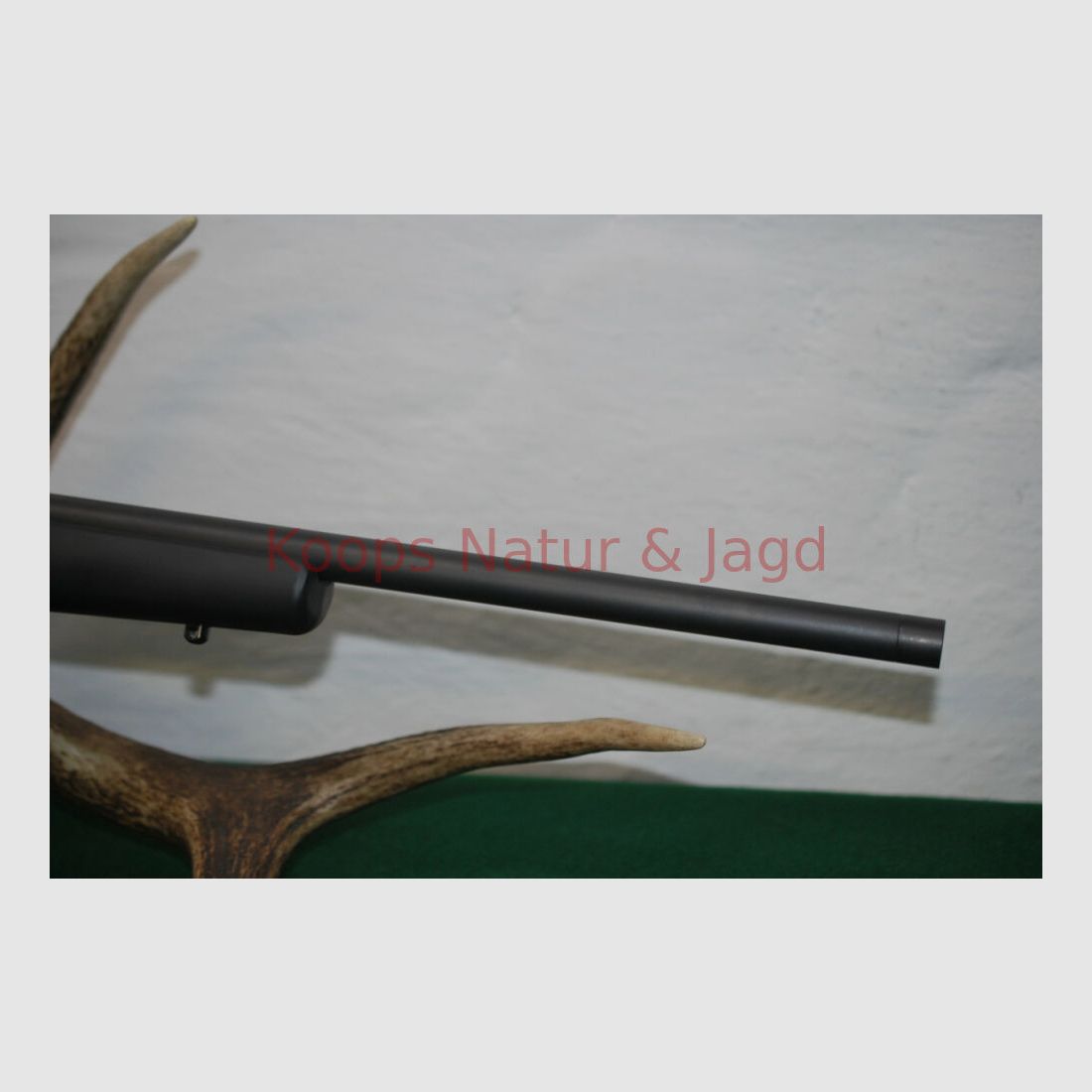 Rössler Signature Allround