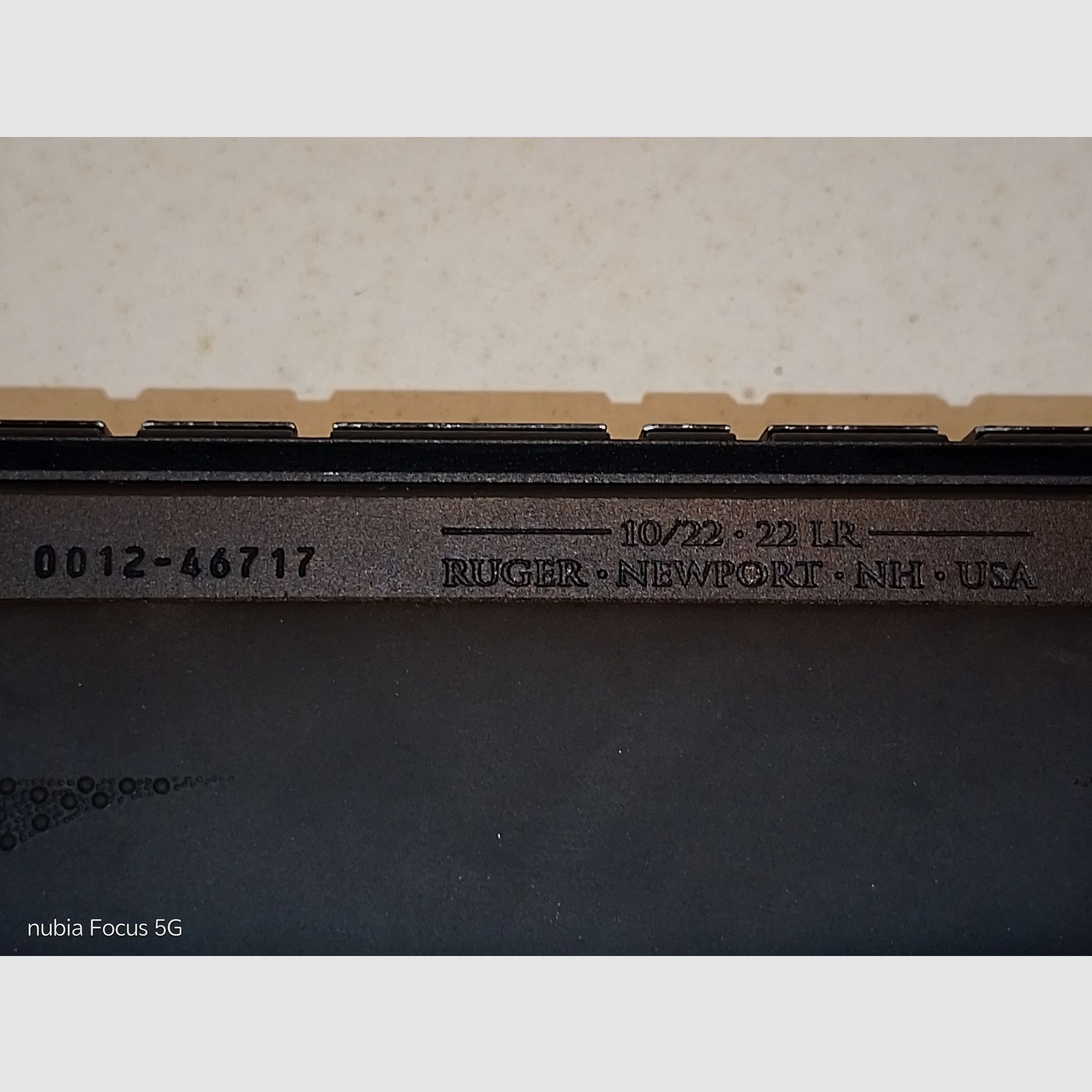 Ruger 10/22 