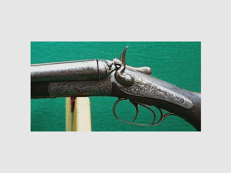 Double shotgun / hammer double shotgun