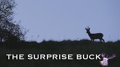 THE SURPRISE BUCK!