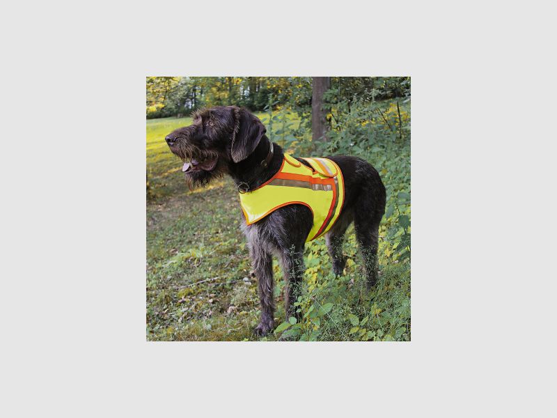 Gilet réfléchissant Akah pour chiens terrier - taille 2 |
