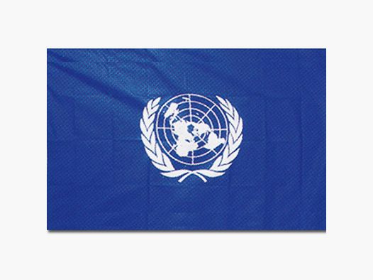 Unbekannt Flagge UNO