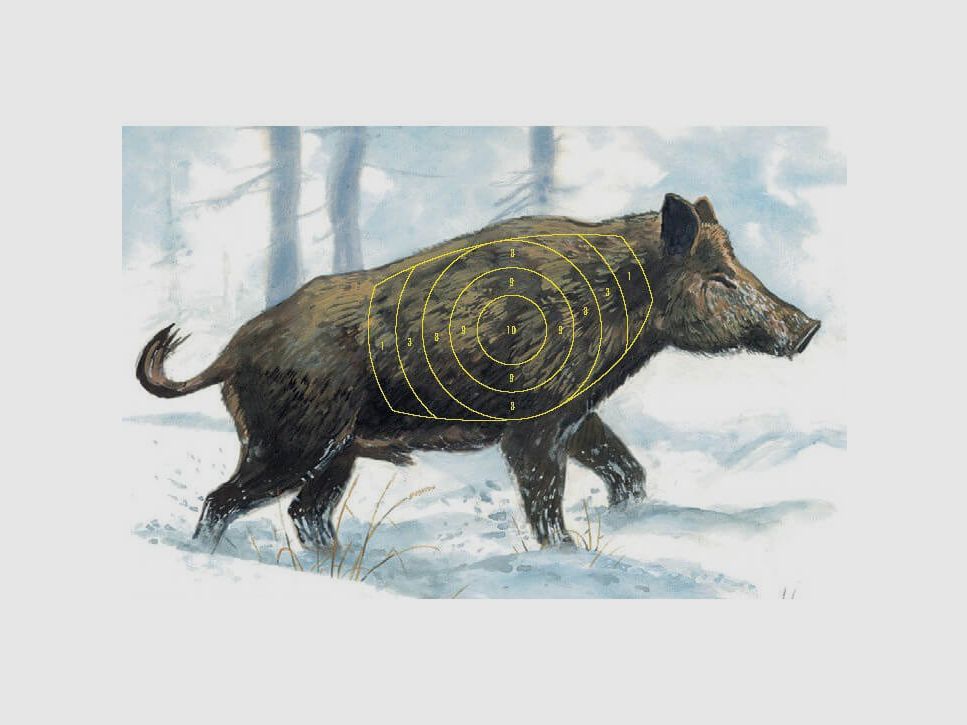 Jagdzielscheibe Keiler 10stk.