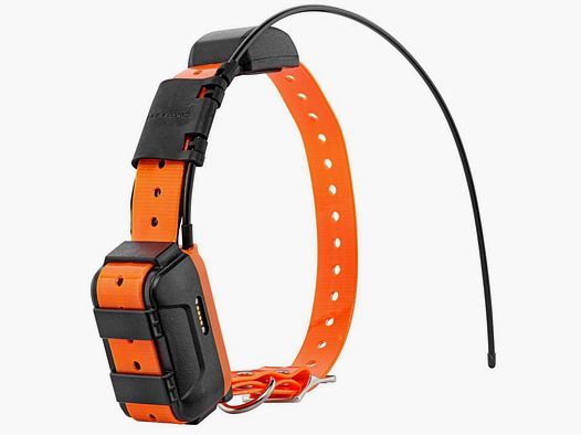 Zusätzliches GPS-Halsband Num'Axes Canicom GPS 2