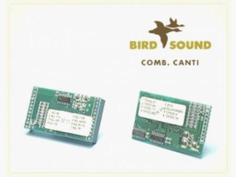 BIRD SOUND Gesangskarten