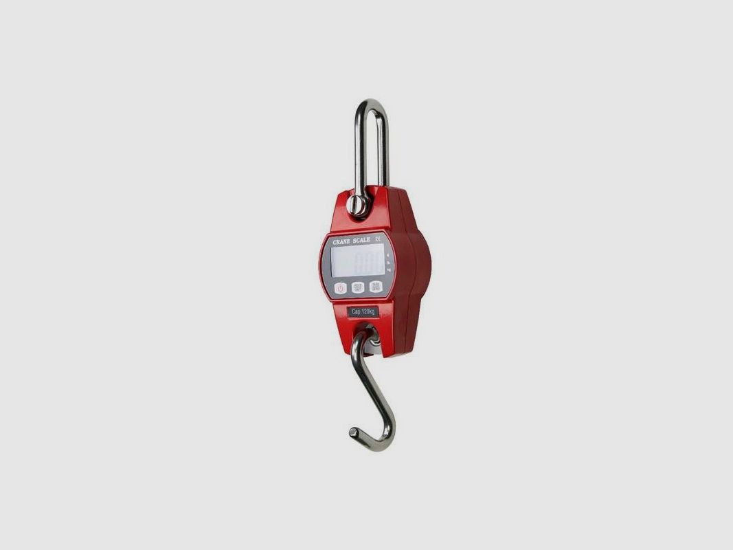 Digital Scale Max 120 kg, image 1 of 2