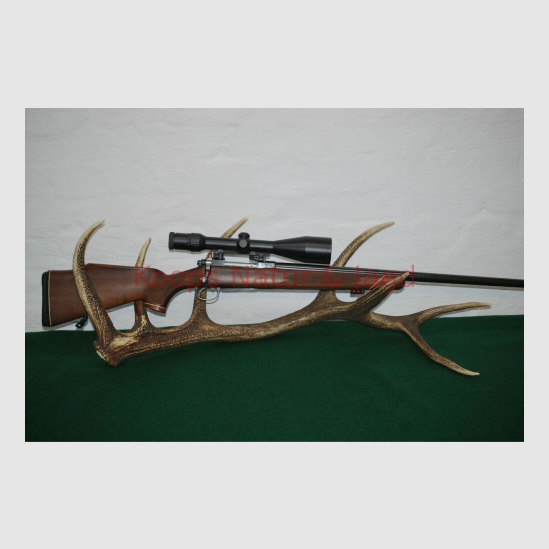 Tikka M 55