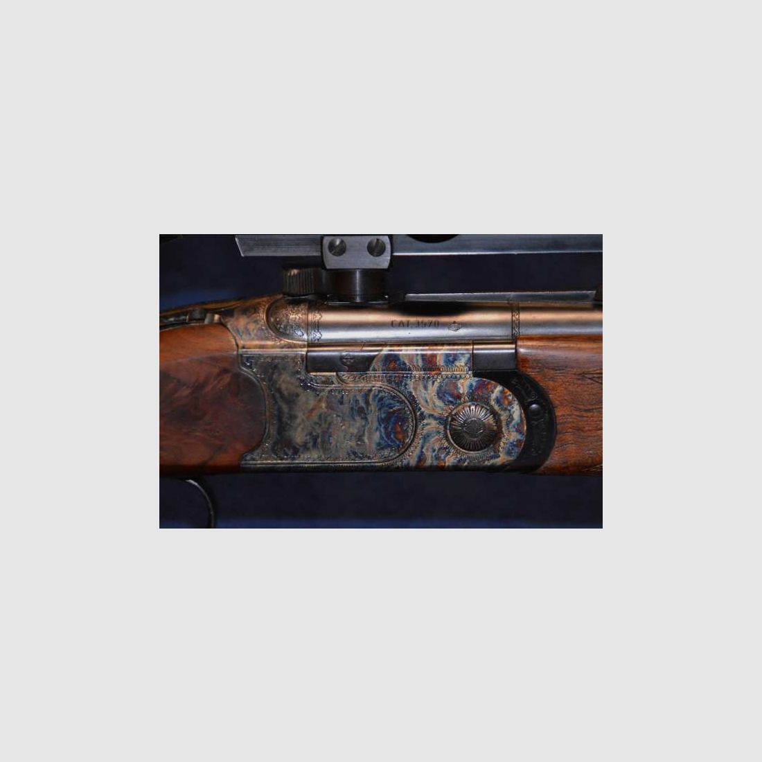 Beretta Express