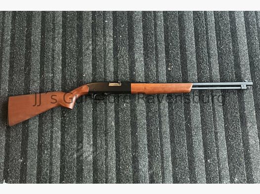 Winchester 190 .22lr
