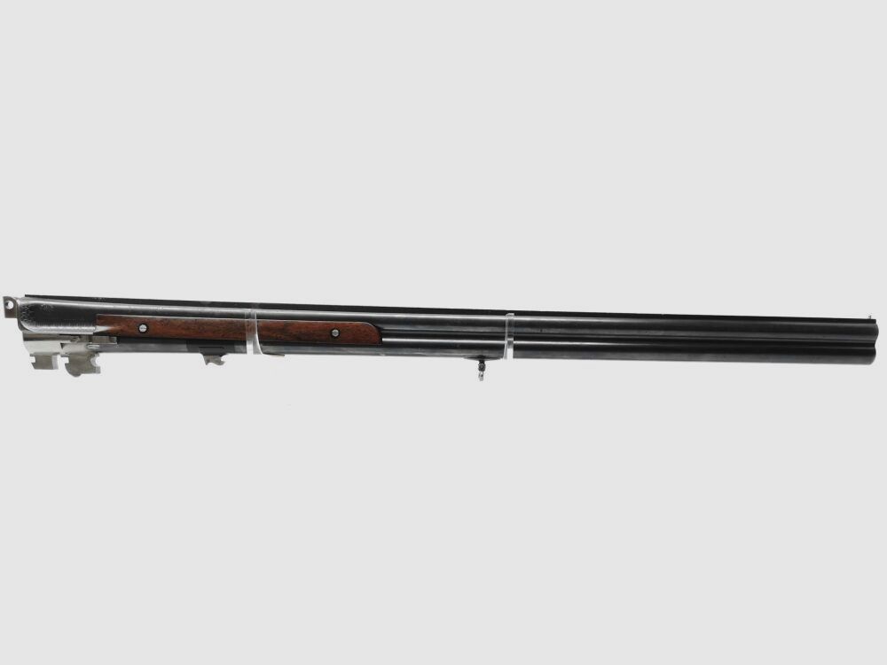 Esha R. Flückiger Switzerland - Combination rifle with interchangeable barrel