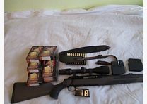 Sauer 303 semi-automatic 3006 with Meopta 2.5x16x56 red dot
