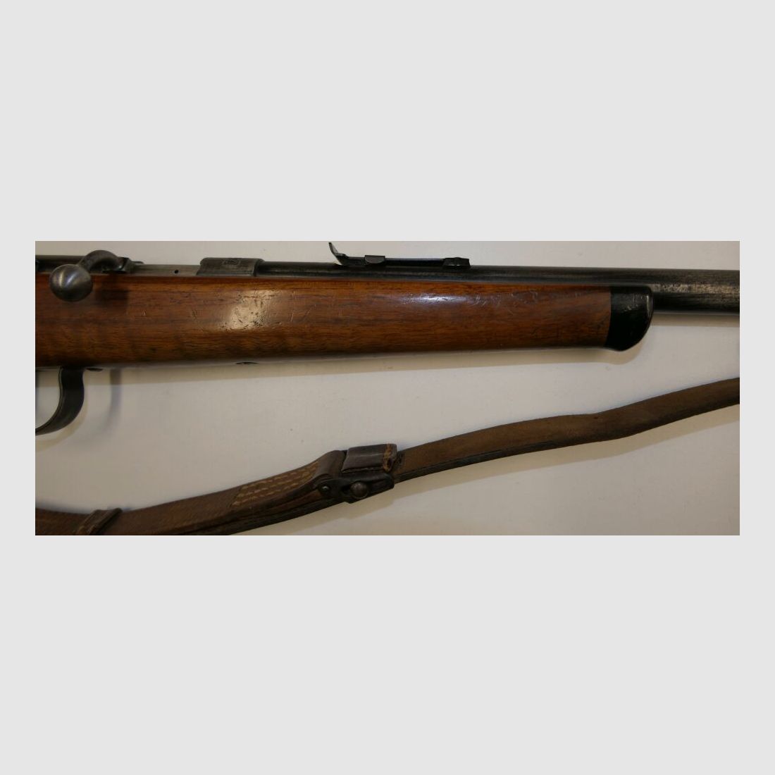 Anschütz single shot in .22lr