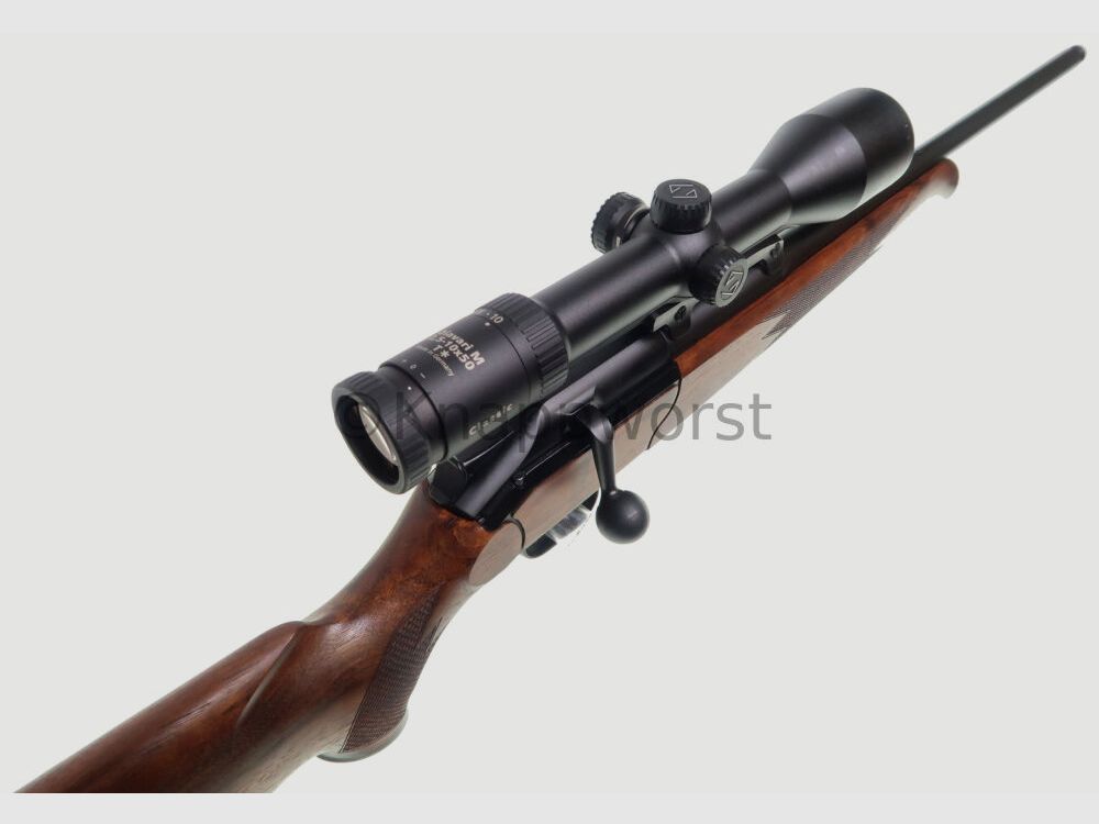 Blaser-Waffen Blaser R93 Zeiss 2,5-10x50