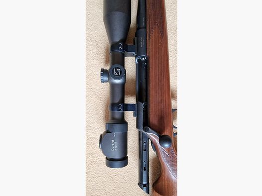 Mauser M96 with optics and silencer