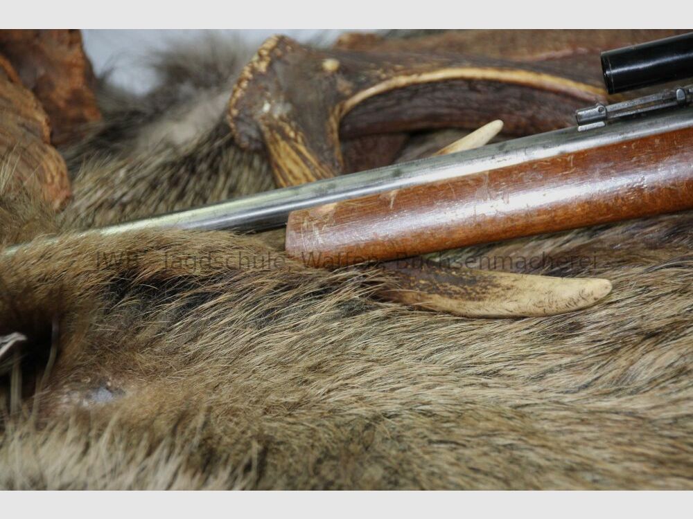 Anschütz 1400 .22lr