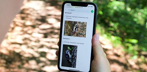 Waidwissen - die ideale App für Jagdschüler