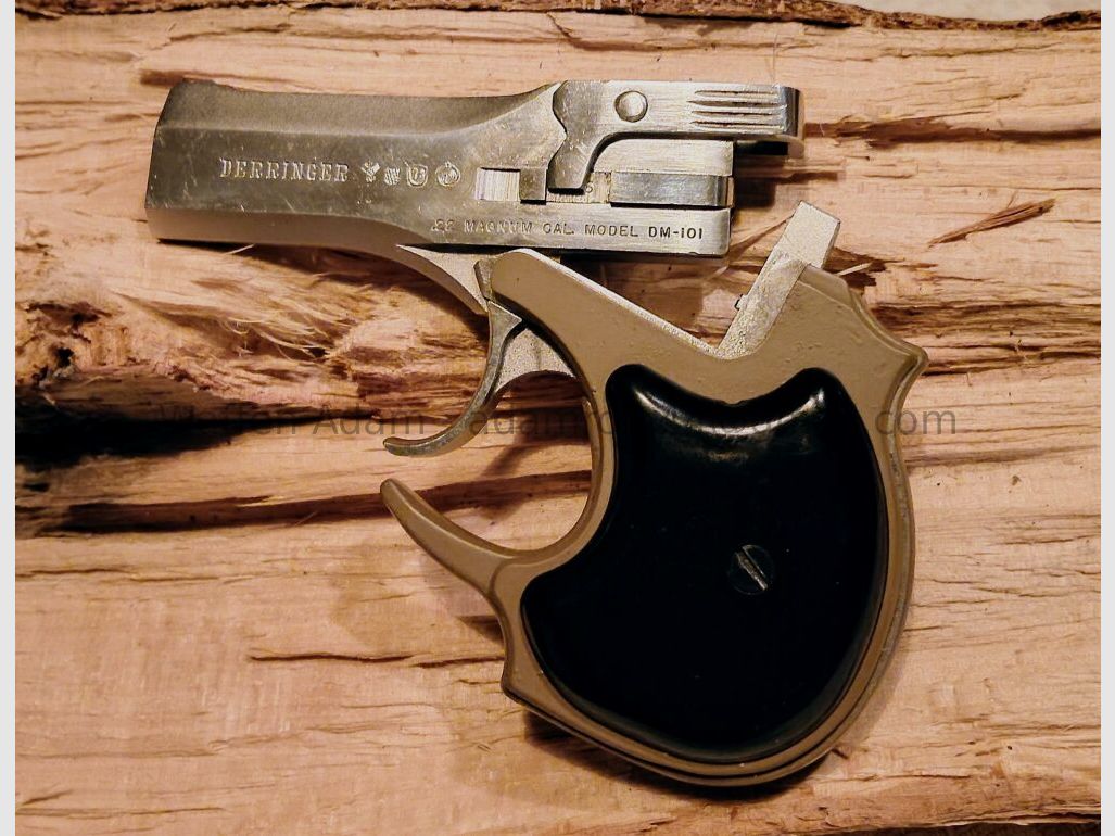 High Standard - Derringer DM-101 de doble cañón, imagen 2 de 5