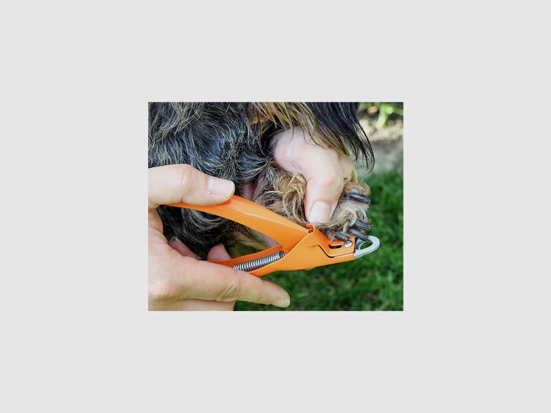 Jezioro Passion Klauenzange |