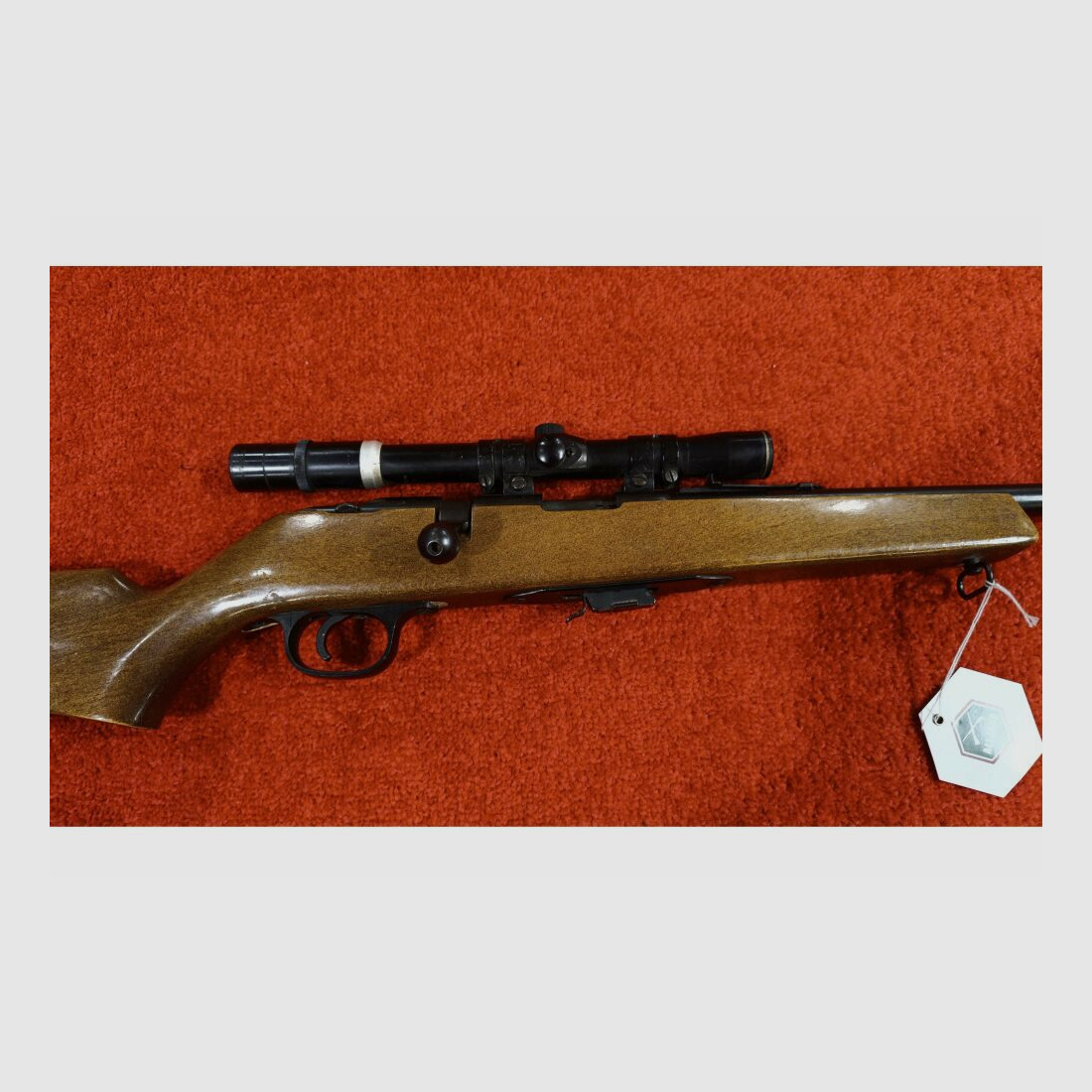 Savage Model 845 .22lr