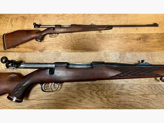 Sauer Weatherby Europa