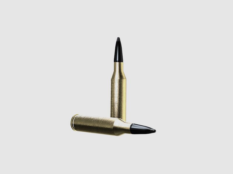 Norma Odin 9.3×62 14.9 g, afbeelding 2 van 3