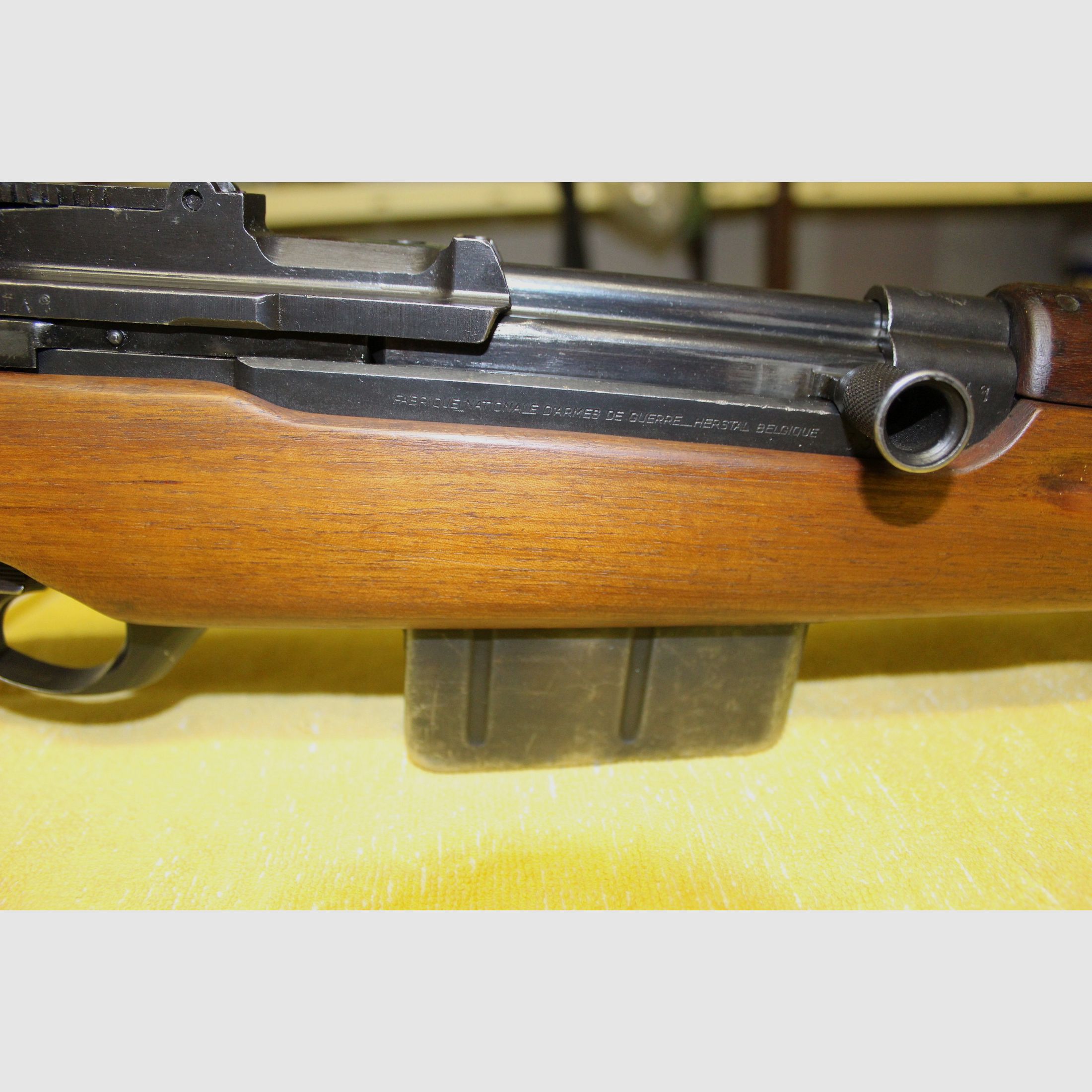 SAFN SL Gewehr