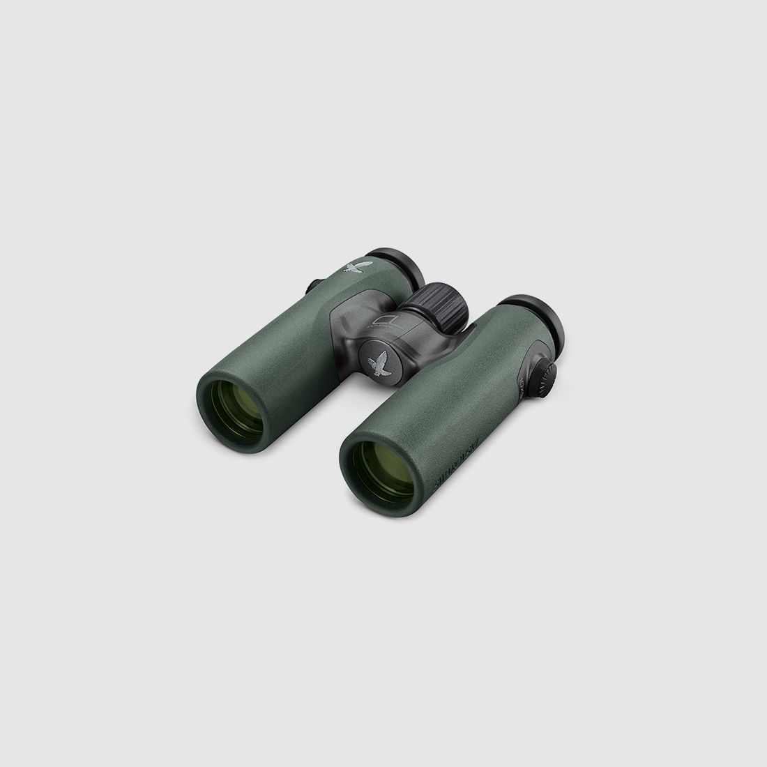 Swarovski CL Companion 8x30 + NL Northern Lights Farbe: Grn