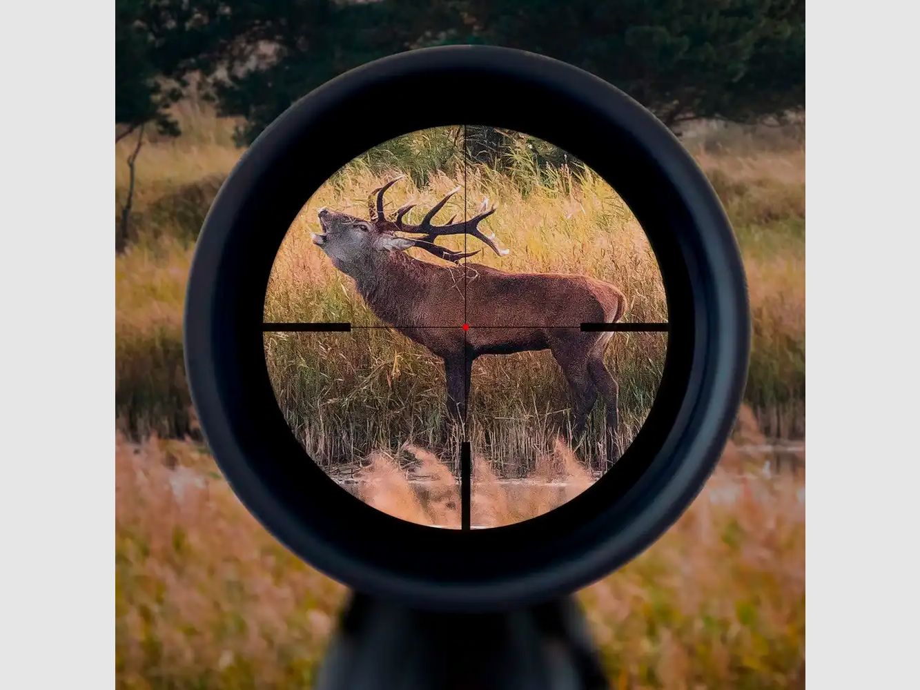 MINOX RS-6 2.2-14×50 S riflescope
