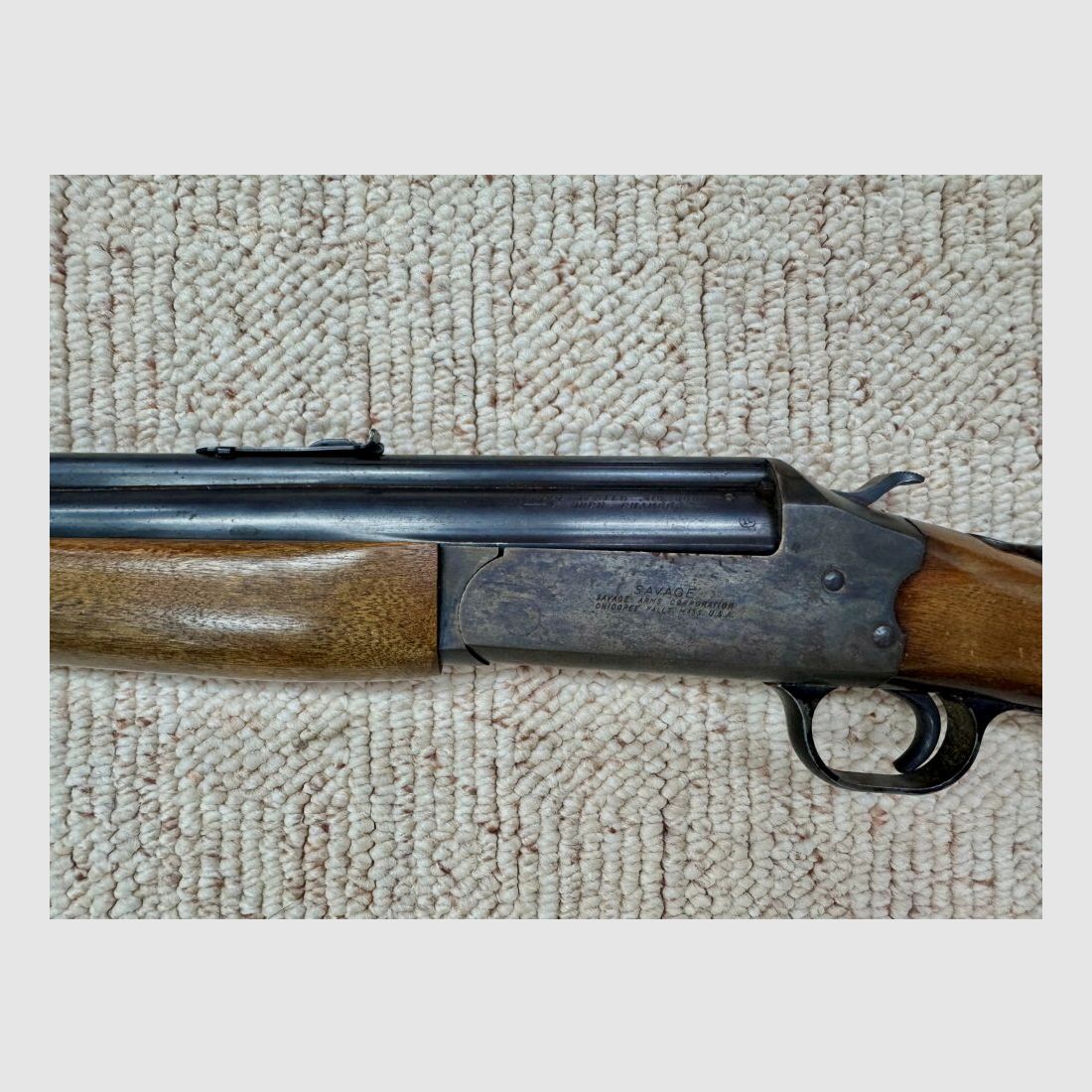 Savage 24