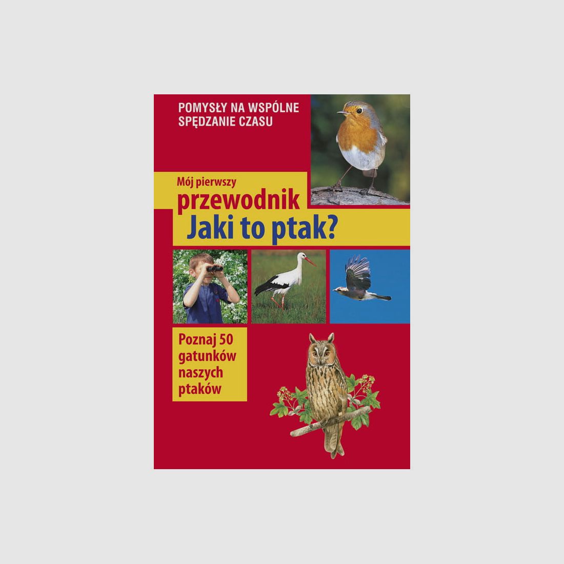 Mein erster Führer. Was ist das für ein Vogel?