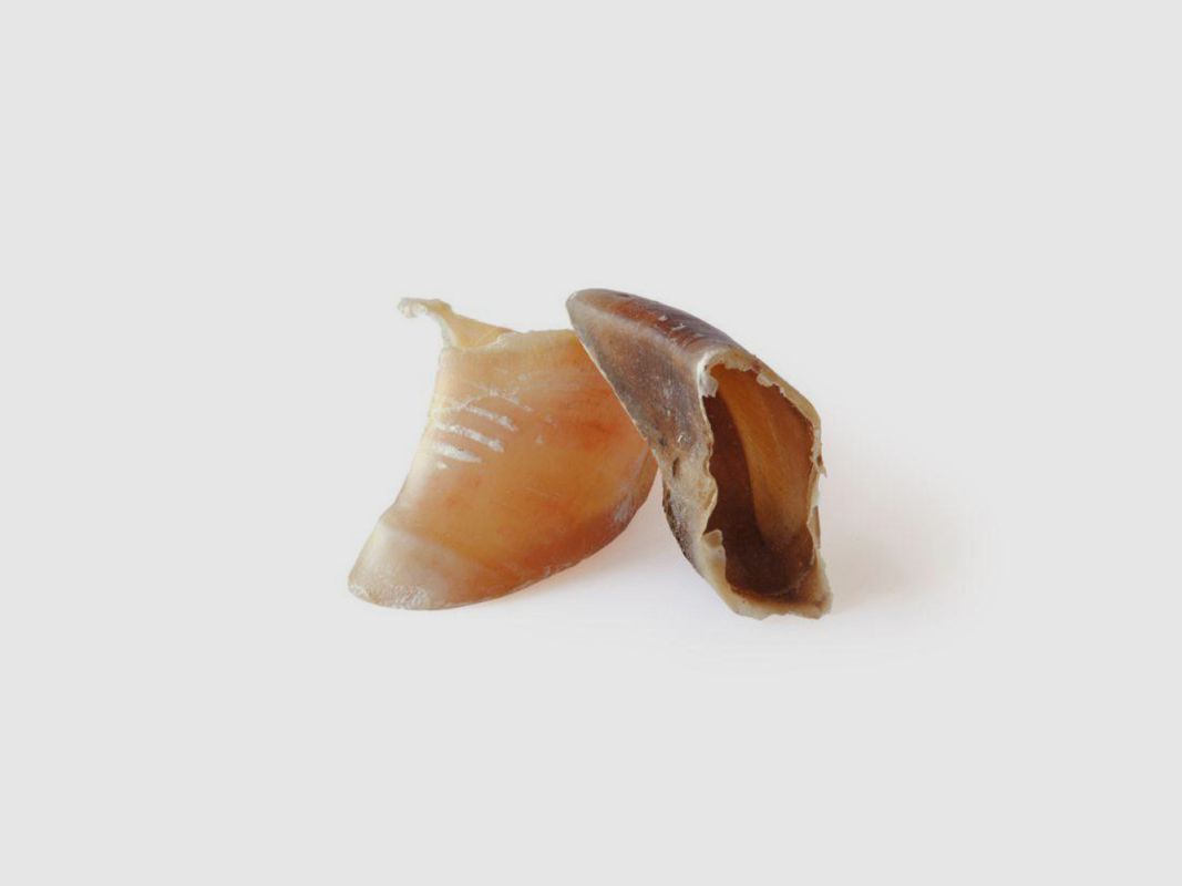 SABOTS DE VEAU BUBIMEX