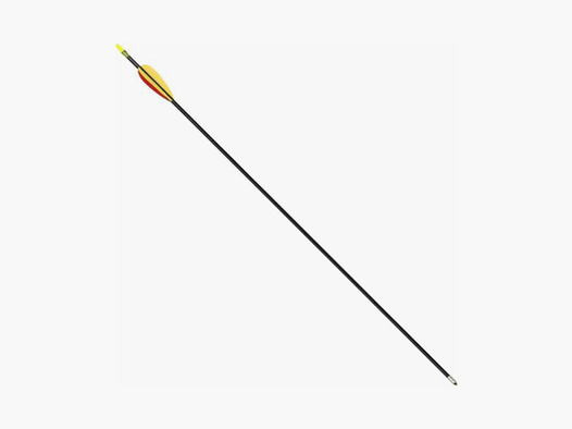 Haller Ersatzpfeile Fiberglas Pfeil Länge 30" 10 Stück