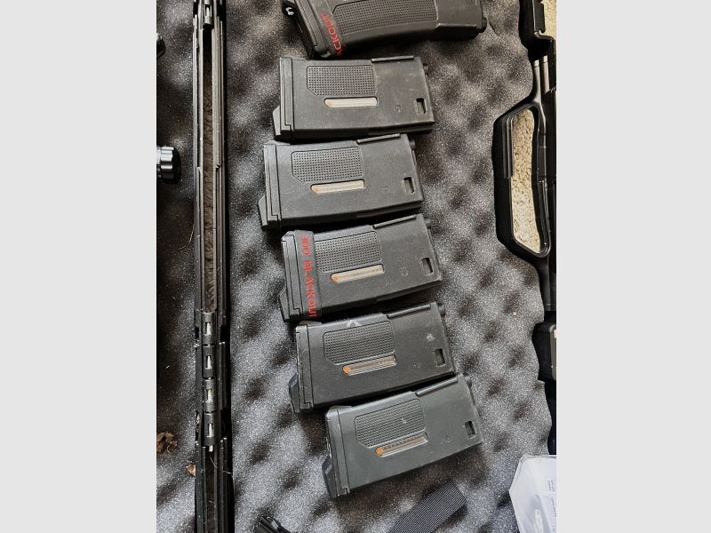 King Arms M4 mit Gate Pulsar S komplettpaket