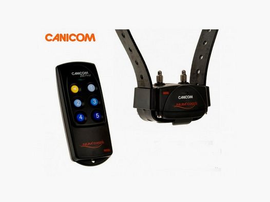 CANICOM 200 FIRST