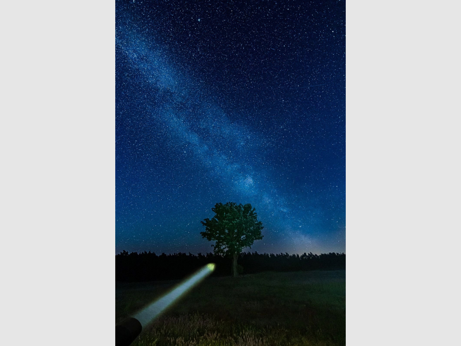 LEDLENSER Flashlight P9R Core LEP