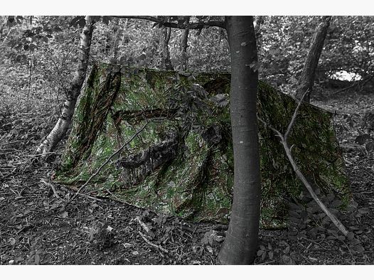 Ghosthood RECCE-NET