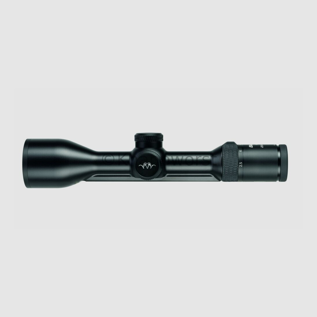 Blaser-Waffen Blaser B2 2,5-15x56 iC S