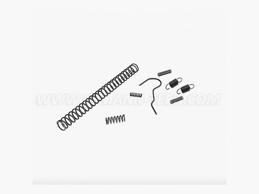 Eemann Tech Feder Set für CZ P-10